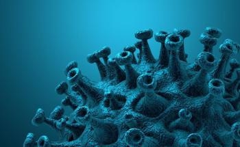 Modeling Predicts Carbon Nanotubes Effectively Bind to SARS-CoV-2