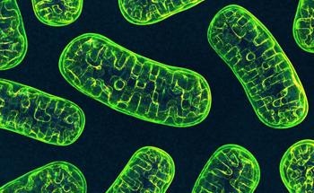 Nanomedicine Delivery of Mitochondria-Targeted Drugs for Treatment of Neurodegenerative Diseases