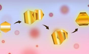 Two Gold Flakes Used to Form a Self-Assembled Resonator