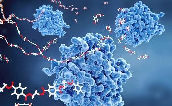 Scientists Move One Step Closer to a Working Optoacoustic Endoscopic Probe for Medical Applications