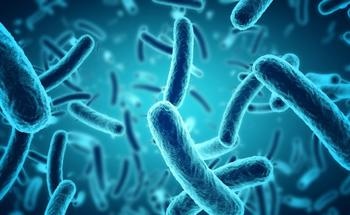 Alternative Approach to Treating Infections with Polymeric Nanoplatform Drug Delivery System