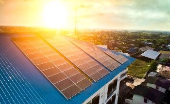 Beetles Inspire Color Changing Perovskite Solar Cells