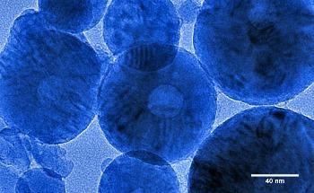New Process to Form Vesicles that can Carry Vaccine Nanoparticles into Human Cells