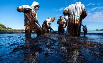 Superhydrophobic Polyurethane Sponge Could Help Clean Major Oil Spills