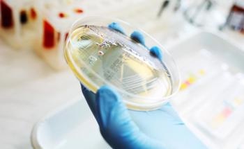 Novel CuO/GO Nanocomposite with Promising Antimicrobial Activities