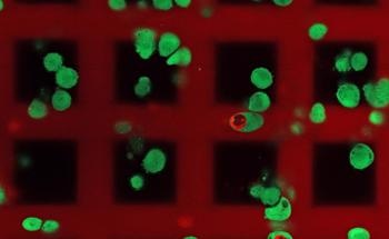 Nanoscribe and CELLINK join forces to release the Quantum X bio