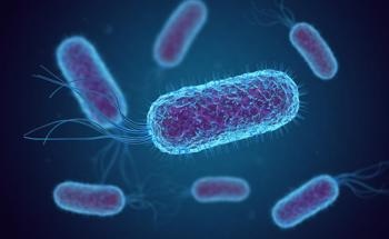 Nanoscale Antimicrobial Surface Formulated with Wooden Lacquer
