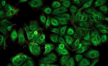 Fabricating Biocompatible Lead Bromide Nanocrystals for Cancer Cell Diagnosis