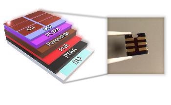 Phosphorene Nanoribbons are Promising Route for High-Performance Solar Cells