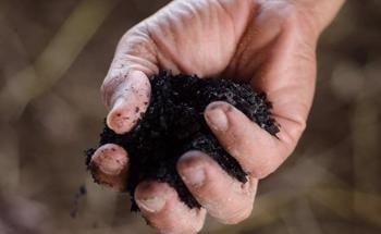 Biochar Revealed as Cheap Material for Energy Storage Devices