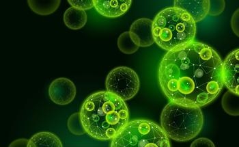 Cell Membrane Inspired Responsive Biocatalytic Nanofiltration Membranes