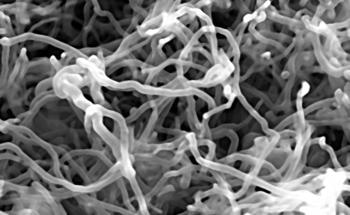 Carbon Nanotubes-Graphene Electrode Paste Detects NSAIDs in Water