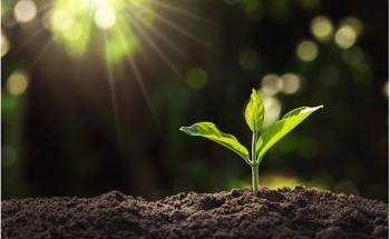 Green, Eco-Friendly Nanocomposite Synthesis with Waste Jaman Fruit