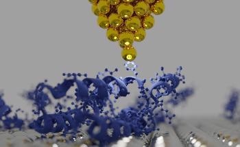 New Insights into Electron Transfer in Dynamic Schottky Junctions