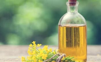 Graphene Nano-Additives Improve Eco-Friendly Lubricant Oil