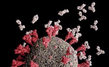 Nanosheet Biosensor Detects COVID-19 Spike Protein in 2 Hours