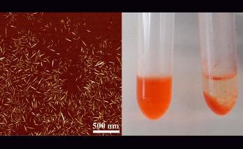 Novel Nanomaterial Captures Cancer Drugs Before They Interact with Healthy Tissue