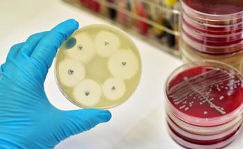 Green Biosynthesis of Nanoparticles Show Promising Biomedical Properties