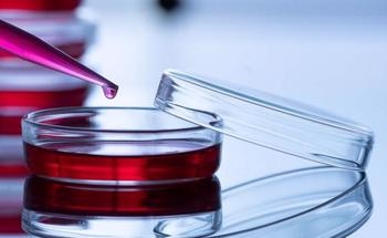 Nanofiber Scaffold Supports Viable 3D Tissue Culture