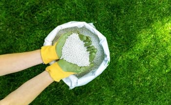 Novel Nanocomposite Shows Great Potential as Bio-Fertilizer