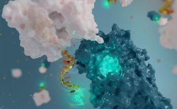 UdeM Build World’s Tiniest Antenna to Understand Natural and Manmade Nanotech