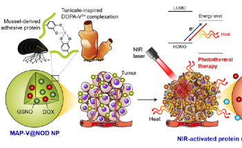 Researchers Create Nanobombs Capable of Attacking Only the Cancer Cells