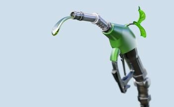 The Role of Nanomaterials in a Bioenergy Fueled Future