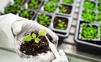 Nanomaterial Exposure has Genetic Effects on Model Plant Arabidopsis