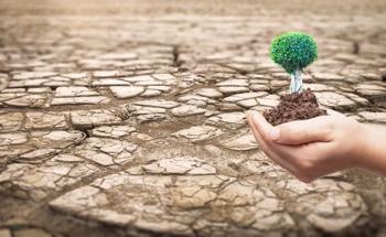 Cactus Fruit Seeds Identified as Source of Cellulose Nanocrystals