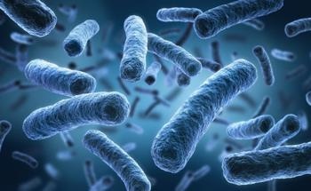 Fighting Bacteria with Vancomycin-Functionalized Gold Nanoparticles