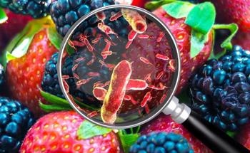 Edible Nanoparticles Could Keep Food Bacteria-Free