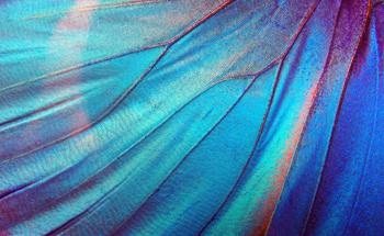 Bio-Inspired Multiband Camouflage Materials