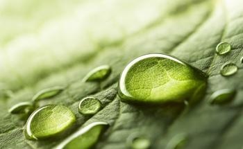 Better Understanding of Evaporation at the Nanoscale