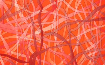 Nanotube Films Open Up New Prospects for Electronics