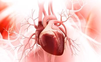 Carbon Nanotubes Modified with Heparin for Use in Heart Valves