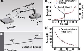 Researchers Reveal Why the Components of Nanowires Cling to Each Other