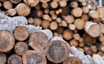 Nanomaterials Help Preserve Wood Outdoors
