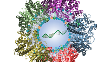 Unique Nanoparticles Enable Precision Targeting of Drug Directly into the Lungs