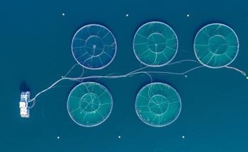 Nanomaterials Help Defend Aquaculture Against Bacterial Infections