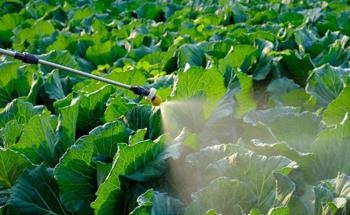 A Novel Pesticide-Free Nanoplatform to Control Housefly Larvae
