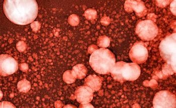 'Species Agnostic' Screening of Lipid Nanoparticles Could Accelerate the Development of Cutting Edge Therapies