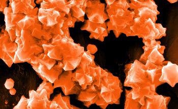 Tiny Lipid-Based Nanoparticles can Carry Genetic Instructions Directly into the Lungs