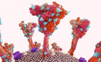 The Role of Glyco-Nanoparticles in Nanomedicine