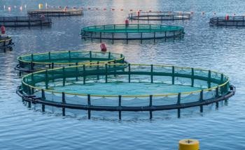 Circular Aquaculture Systems with Nano-Membrane Technologies
