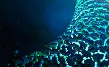 Exotic 'Multiferroic' State in a 2D Material Observed for the First Time