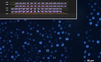 Borophene Oxide-Derived Liquid Crystals Could Expedite Modern Optoelectronic Devices