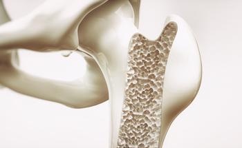 Ginger and Curcumin Enhance Bone Tissue Nanocomposite Scaffold