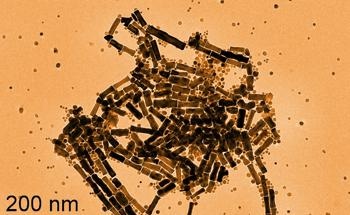 CoC2O4 Nanorods Showcase Photocatalytic Potential of Metal Oxalates