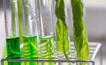 Helping Agriculture to Reach its Circular Bioeconomy Goals