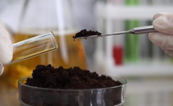 Recovering Polluted Soil with Nanoremediation